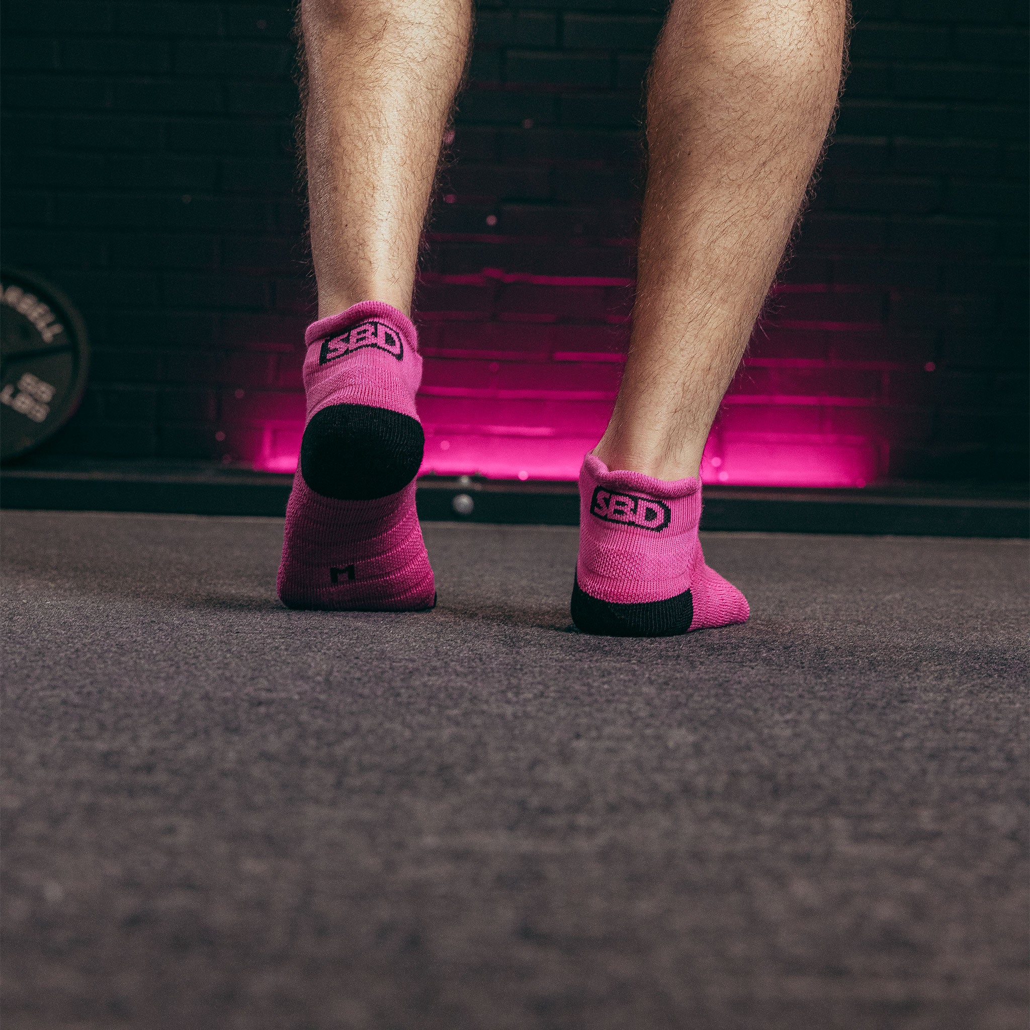 Nova Trainer Socks - Image 3